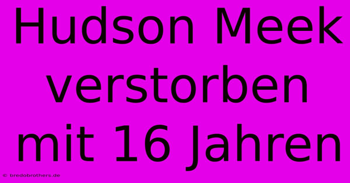 Hudson Meek Verstorben Mit 16 Jahren