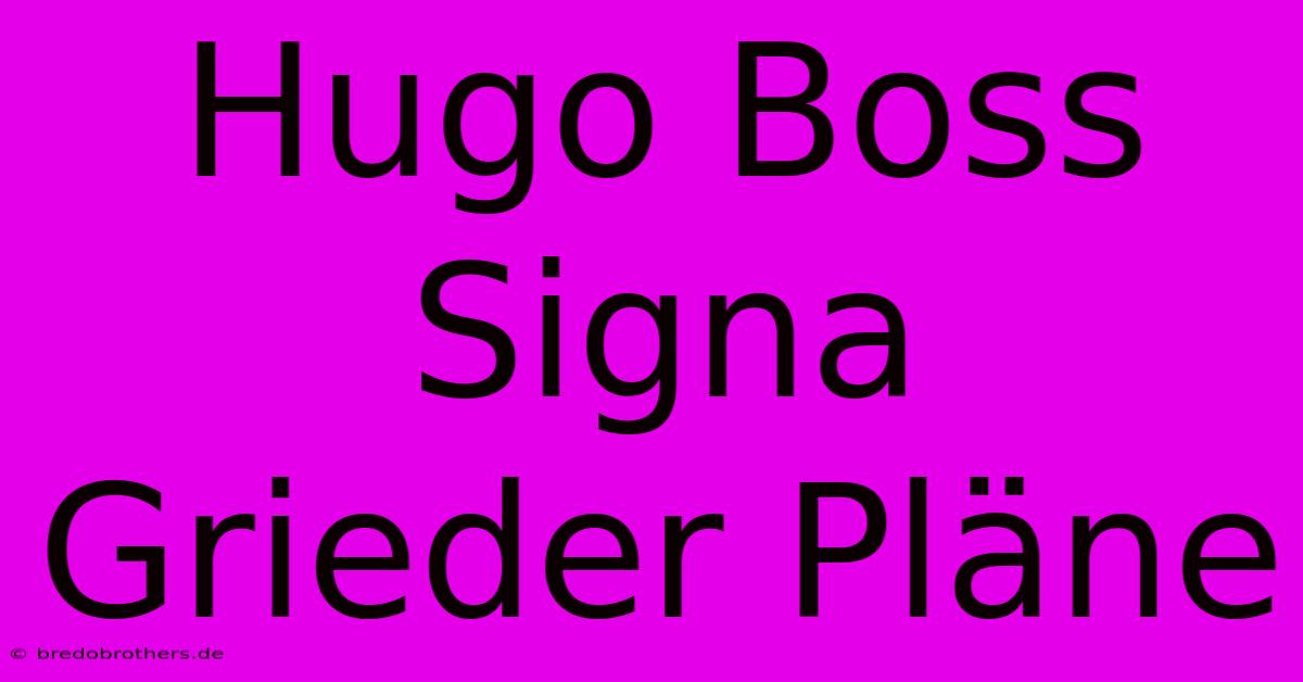 Hugo Boss Signa Grieder Pläne