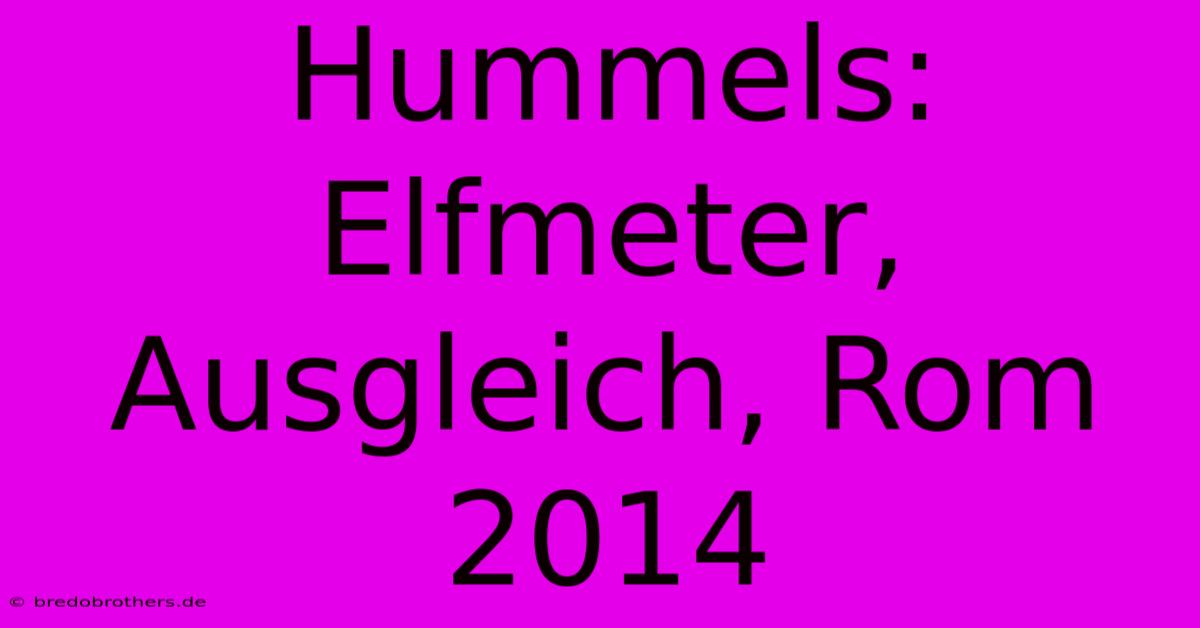 Hummels: Elfmeter, Ausgleich, Rom 2014