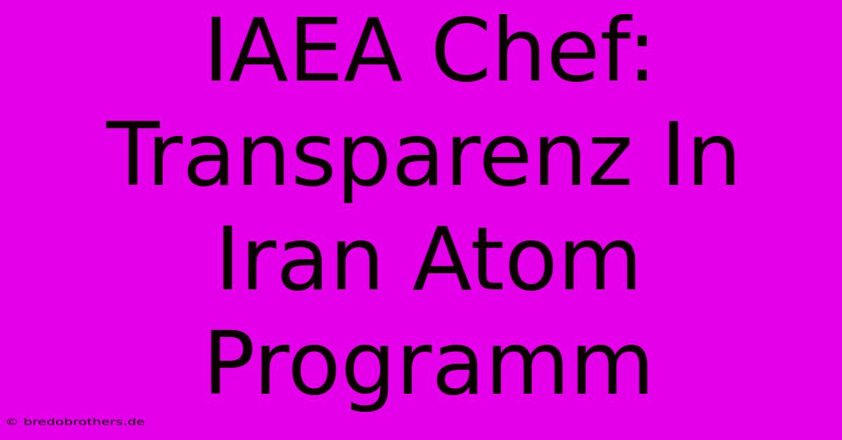 IAEA Chef: Transparenz In Iran Atom Programm 