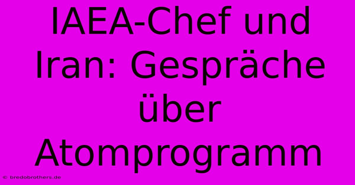 IAEA-Chef Und Iran: Gespräche Über Atomprogramm