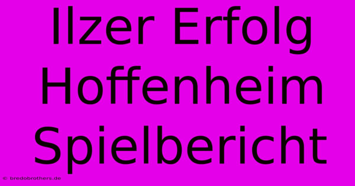 Ilzer Erfolg Hoffenheim Spielbericht