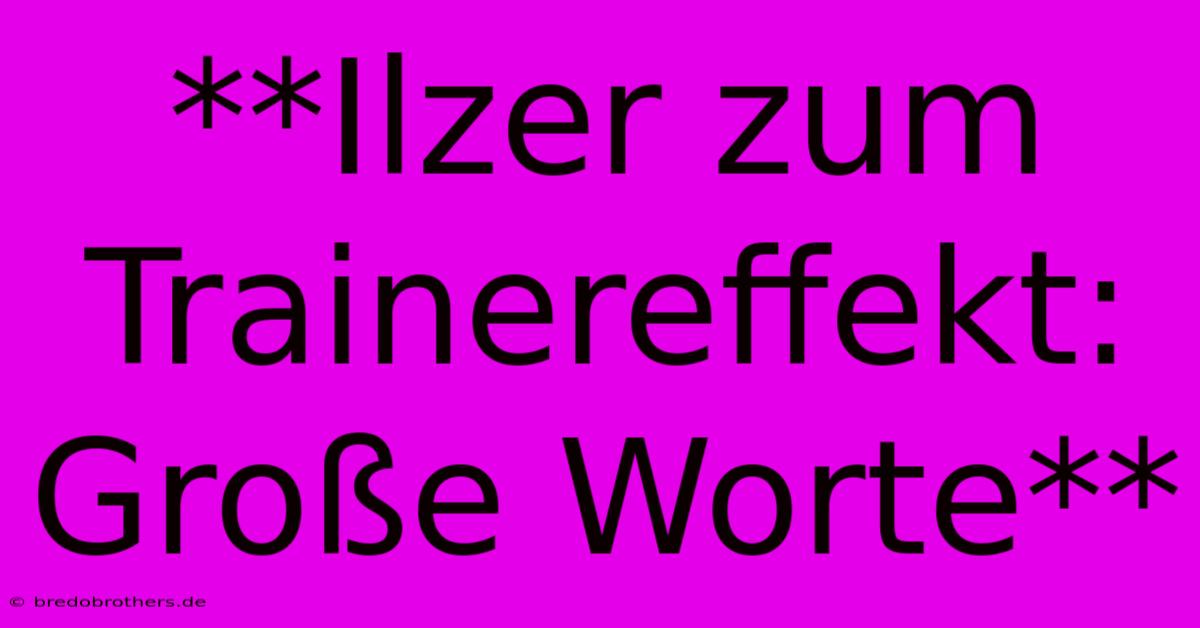 **Ilzer Zum Trainereffekt: Große Worte**