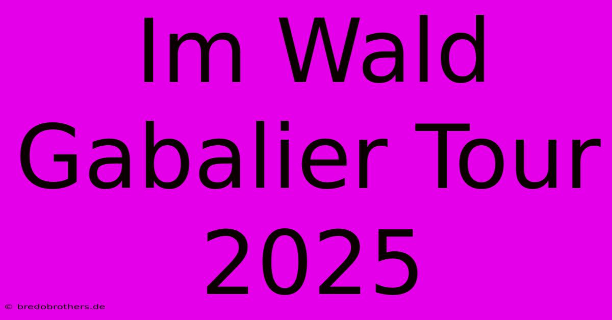 Im Wald Gabalier Tour 2025