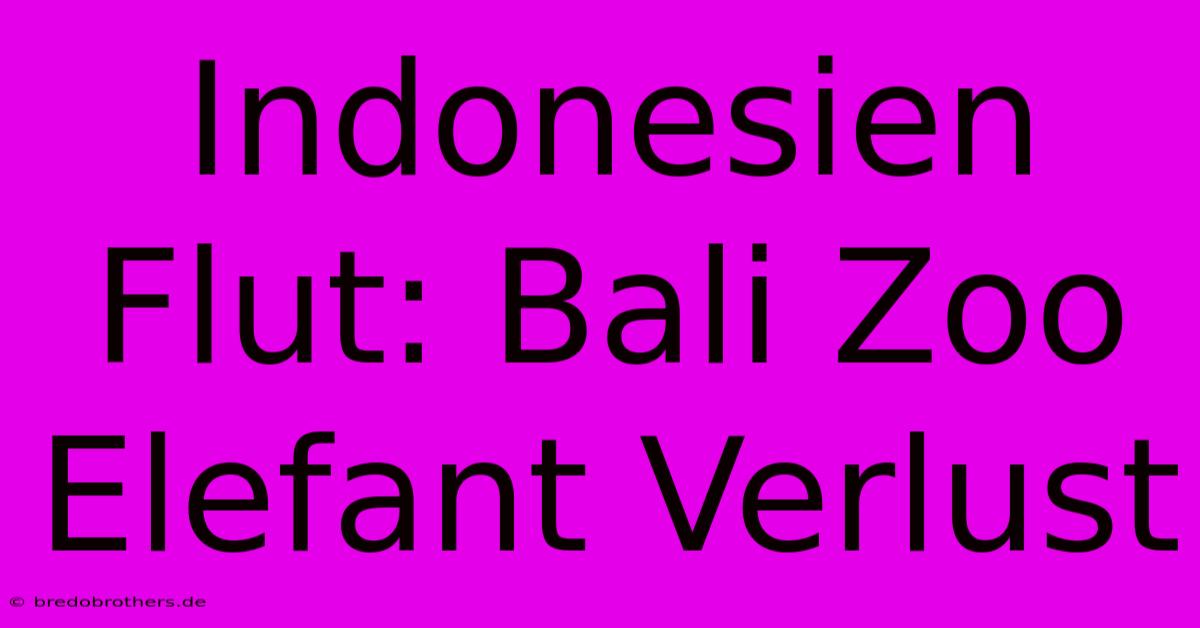 Indonesien Flut: Bali Zoo Elefant Verlust