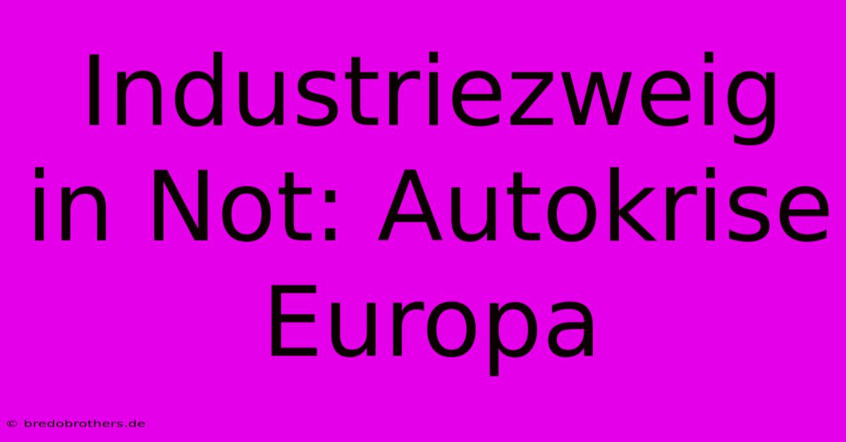 Industriezweig In Not: Autokrise Europa