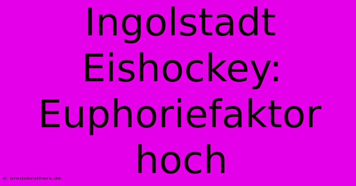 Ingolstadt Eishockey: Euphoriefaktor Hoch