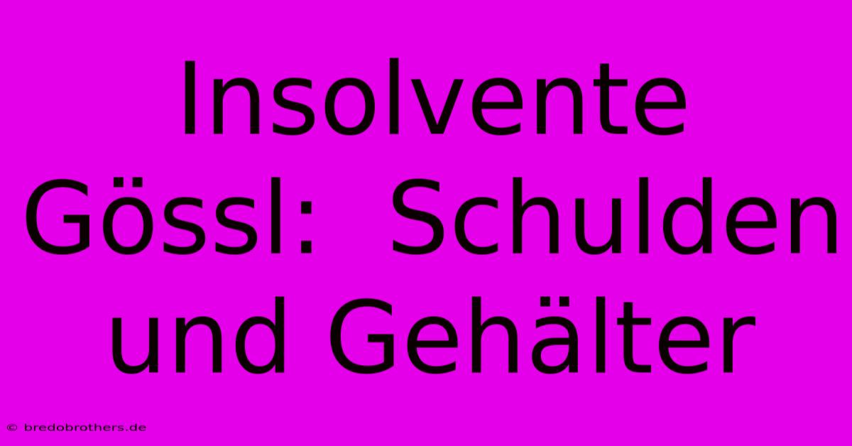 Insolvente Gössl:  Schulden Und Gehälter