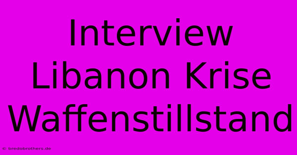 Interview Libanon Krise Waffenstillstand