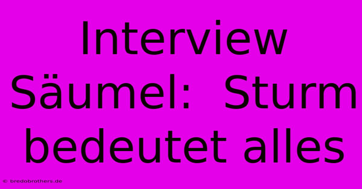 Interview Säumel:  Sturm Bedeutet Alles