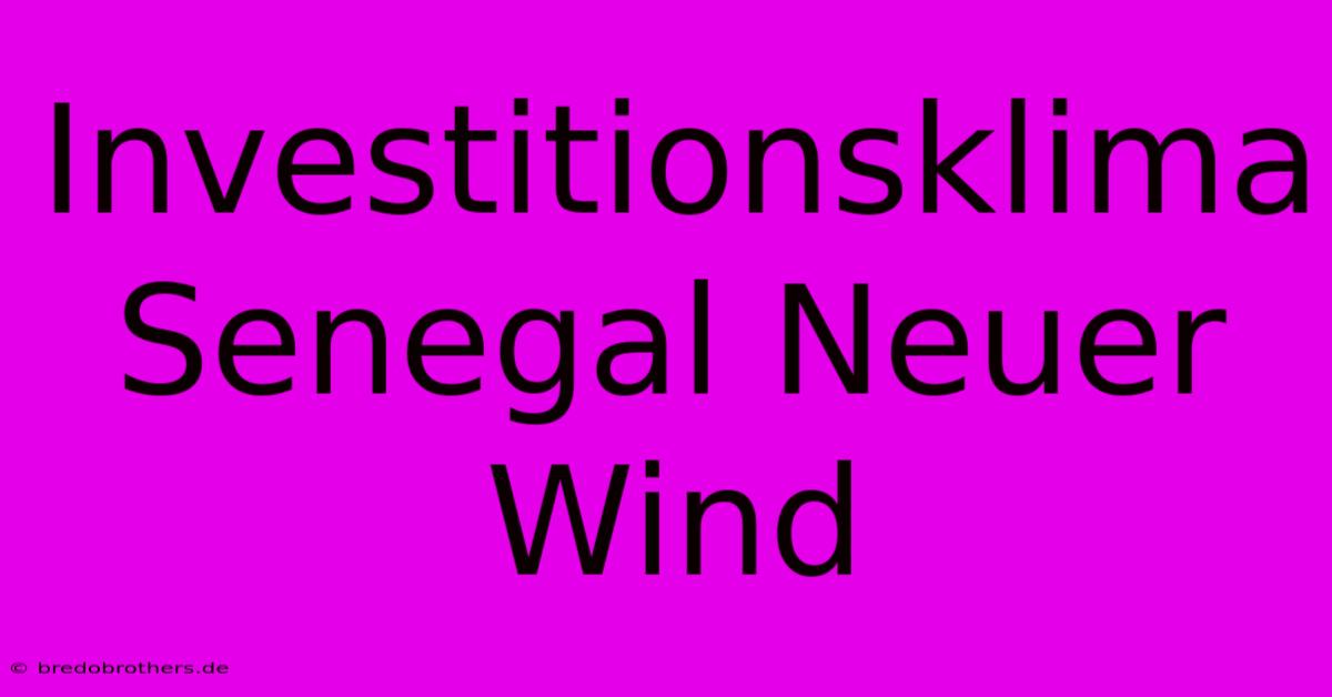 Investitionsklima Senegal Neuer Wind