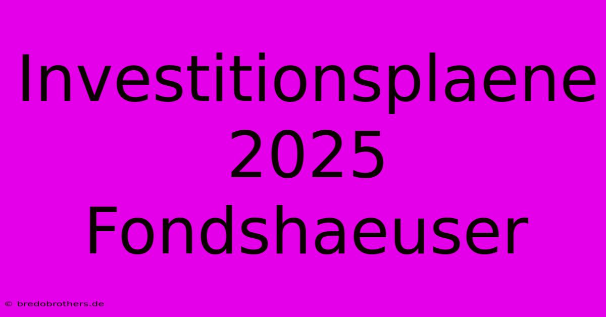 Investitionsplaene 2025  Fondshaeuser