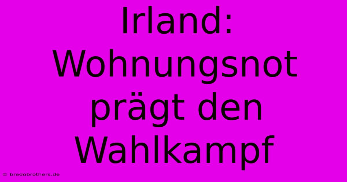 Irland: Wohnungsnot Prägt Den Wahlkampf