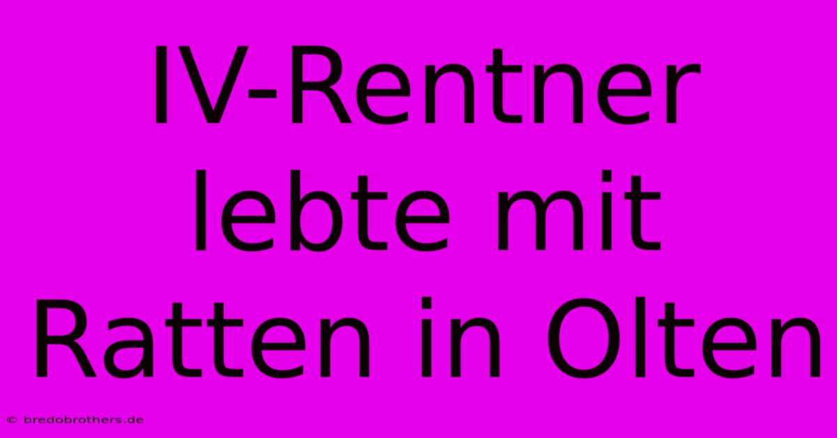 IV-Rentner Lebte Mit Ratten In Olten