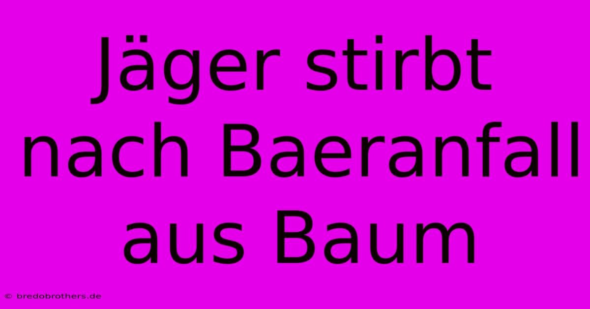 Jäger Stirbt Nach Baeranfall Aus Baum