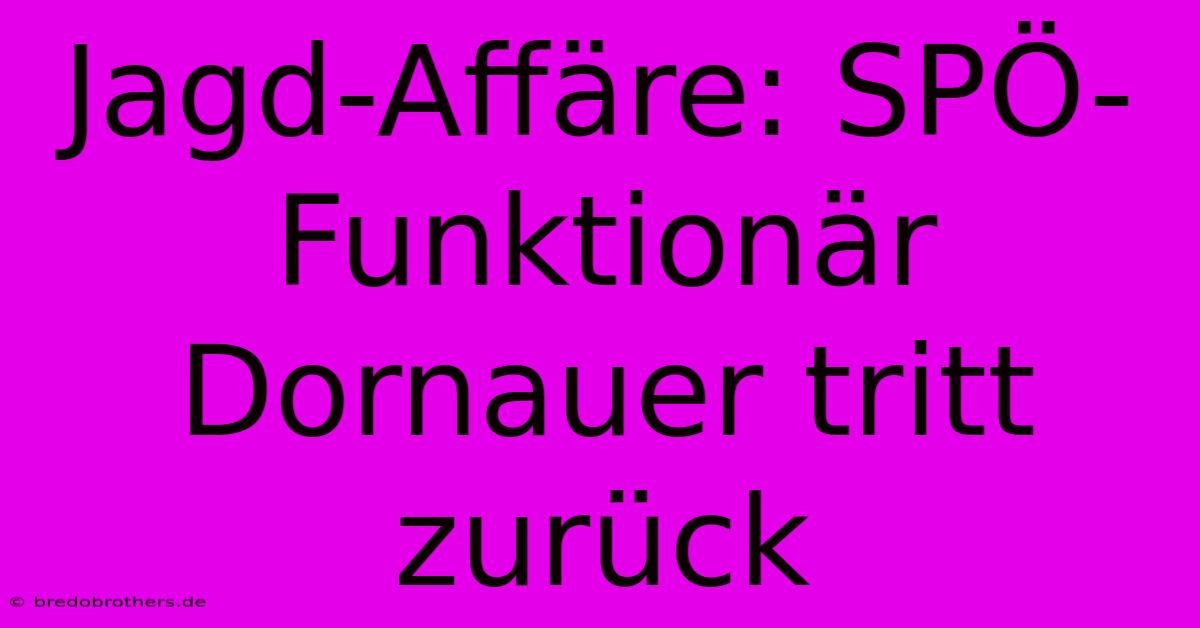 Jagd-Affäre: SPÖ-Funktionär Dornauer Tritt Zurück