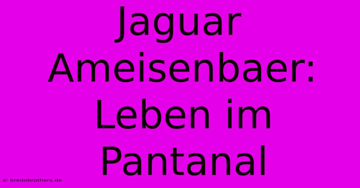 Jaguar Ameisenbaer: Leben Im Pantanal