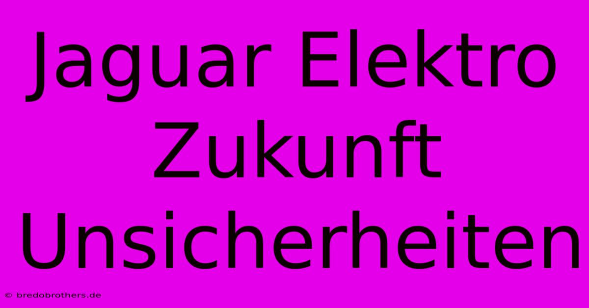 Jaguar Elektro Zukunft Unsicherheiten