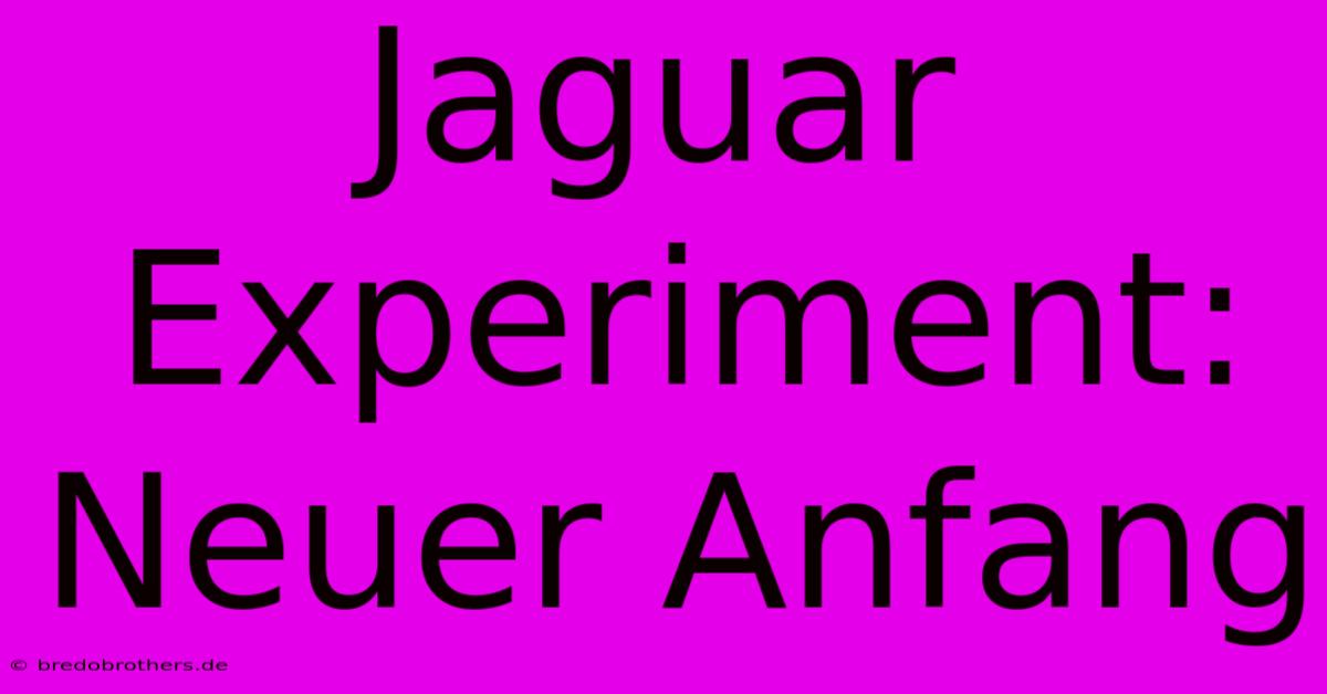 Jaguar Experiment: Neuer Anfang