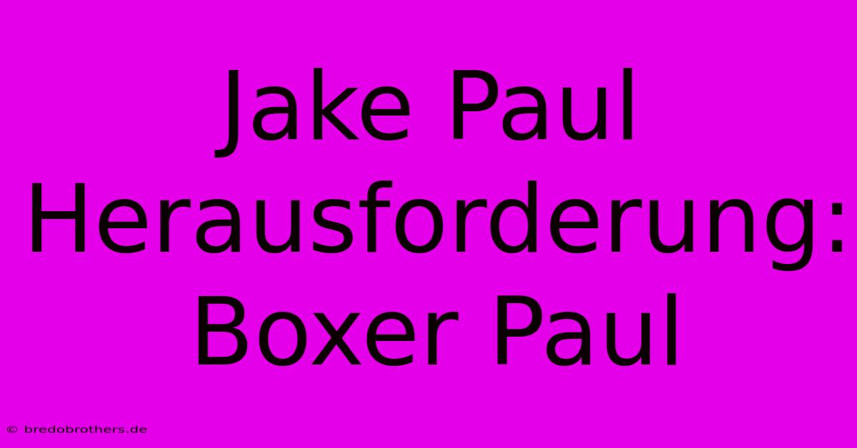 Jake Paul Herausforderung: Boxer Paul