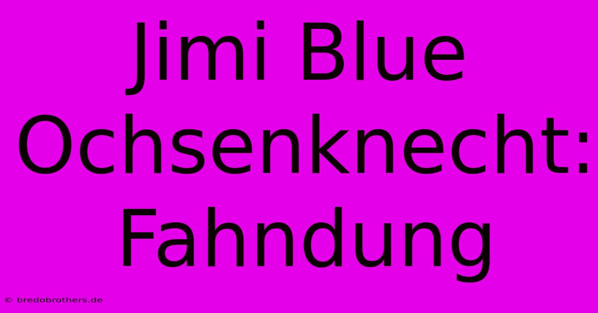 Jimi Blue Ochsenknecht: Fahndung