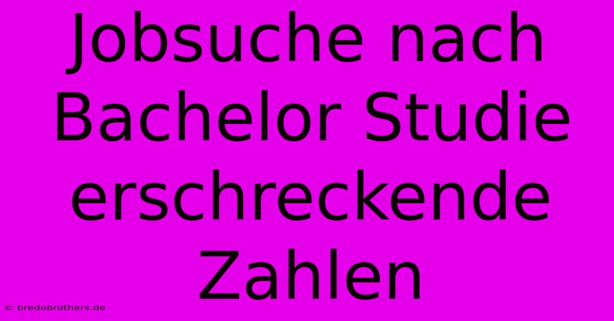 Jobsuche Nach Bachelor Studie Erschreckende Zahlen