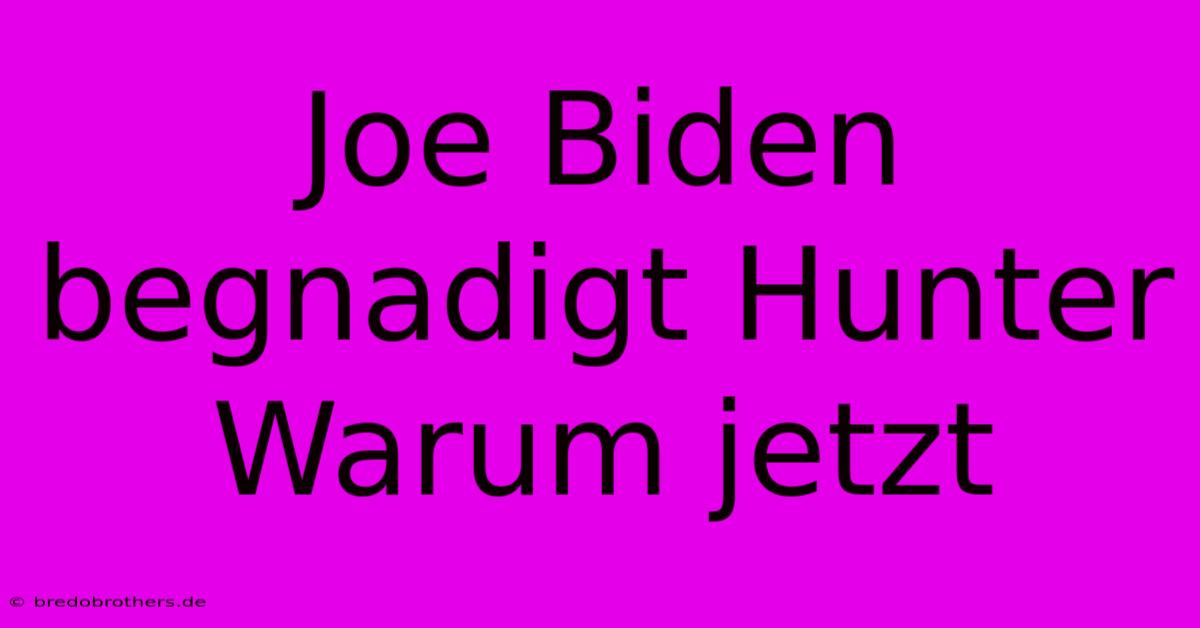 Joe Biden Begnadigt Hunter Warum Jetzt