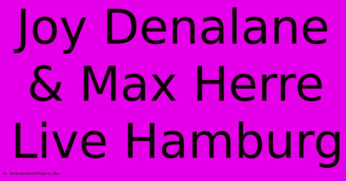 Joy Denalane & Max Herre Live Hamburg