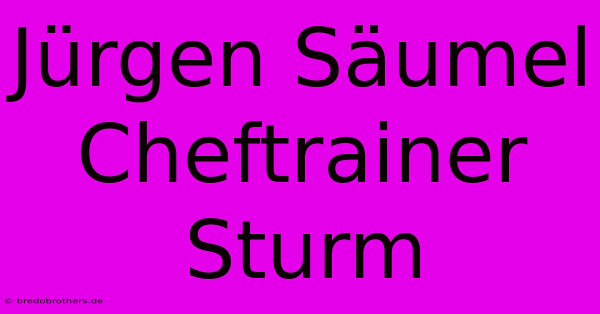 Jürgen Säumel Cheftrainer Sturm