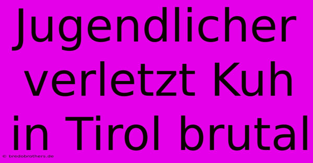 Jugendlicher Verletzt Kuh In Tirol Brutal