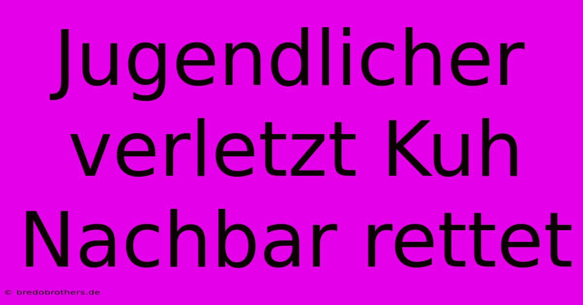 Jugendlicher Verletzt Kuh Nachbar Rettet