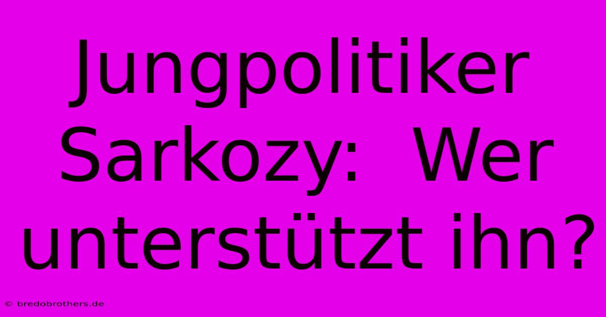 Jungpolitiker Sarkozy:  Wer Unterstützt Ihn?