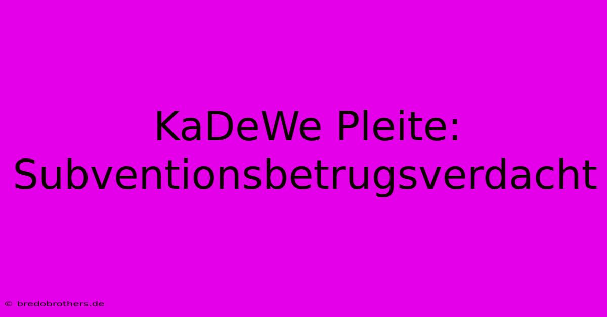 KaDeWe Pleite: Subventionsbetrugsverdacht