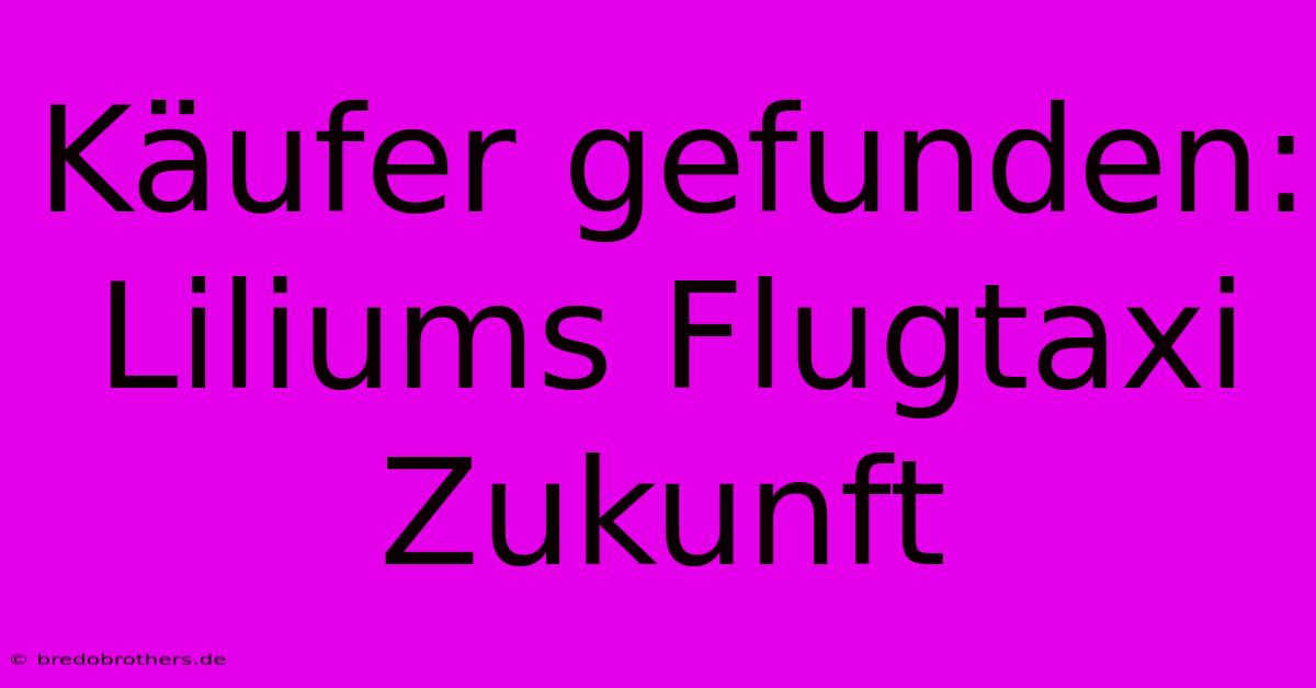 Käufer Gefunden: Liliums Flugtaxi Zukunft