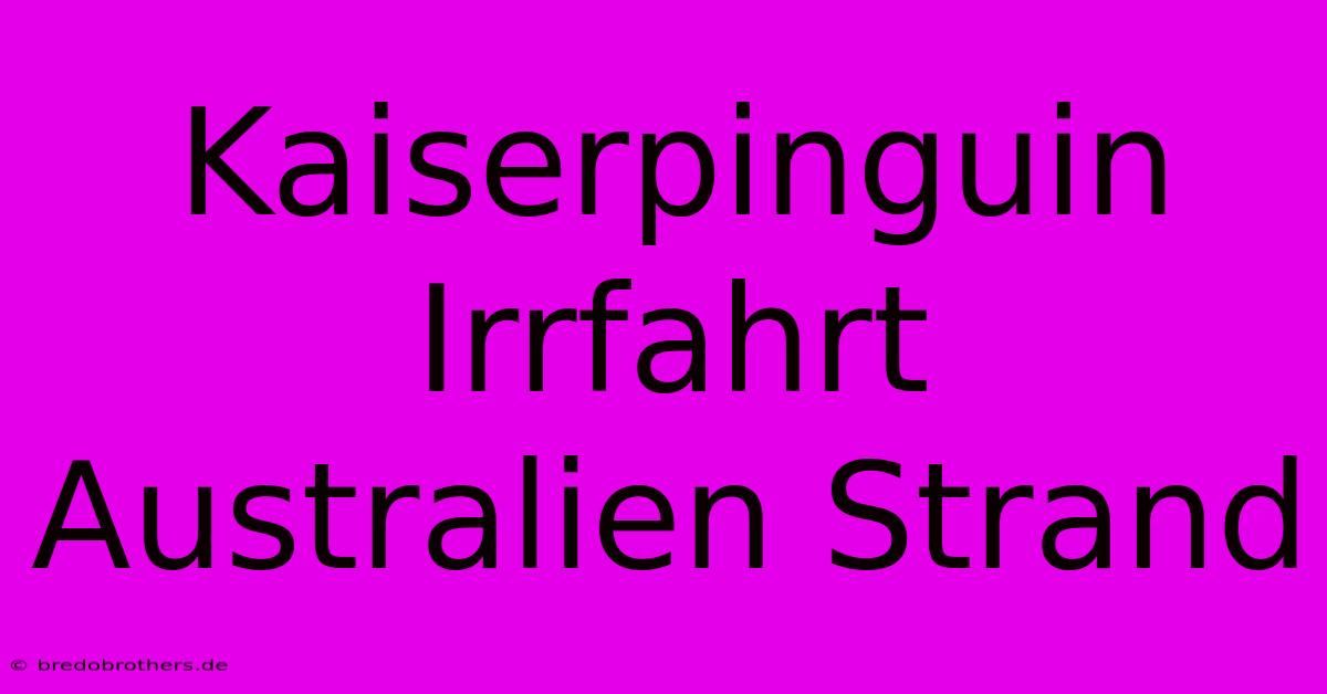 Kaiserpinguin Irrfahrt Australien Strand