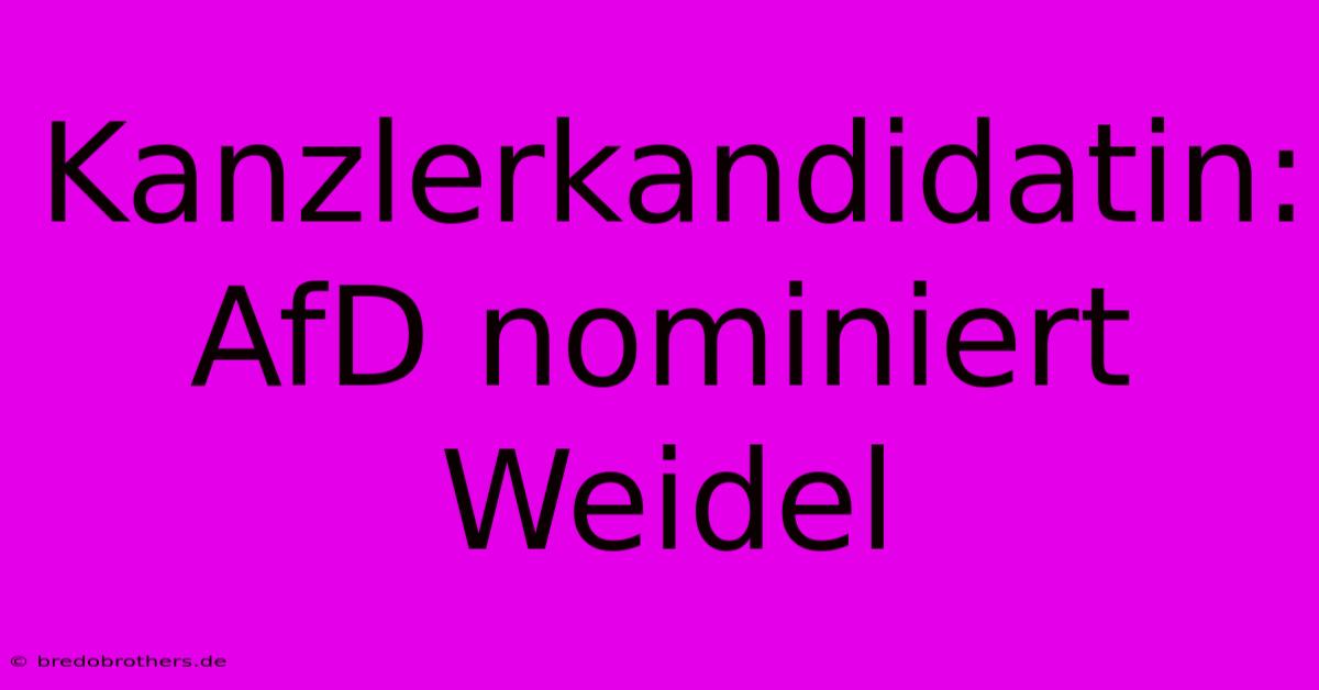 Kanzlerkandidatin: AfD Nominiert Weidel