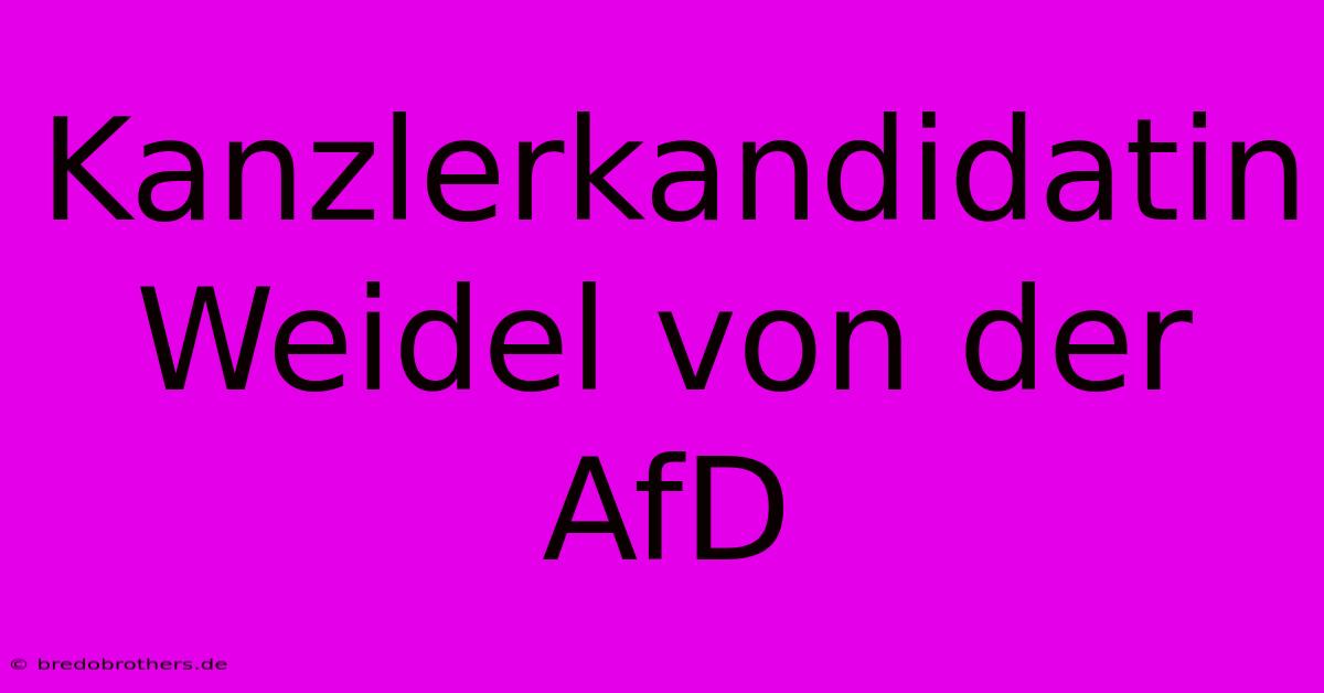 Kanzlerkandidatin Weidel Von Der AfD