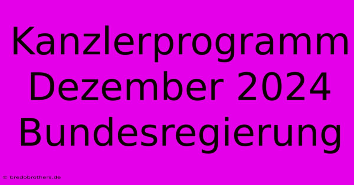 Kanzlerprogramm Dezember 2024 Bundesregierung