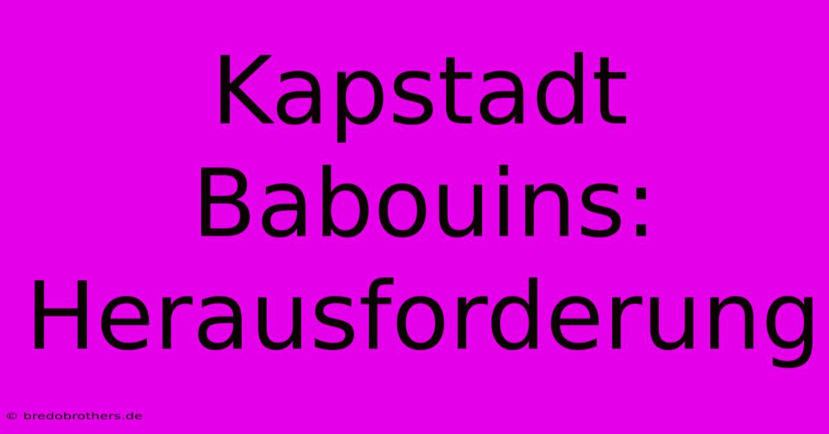 Kapstadt Babouins: Herausforderung