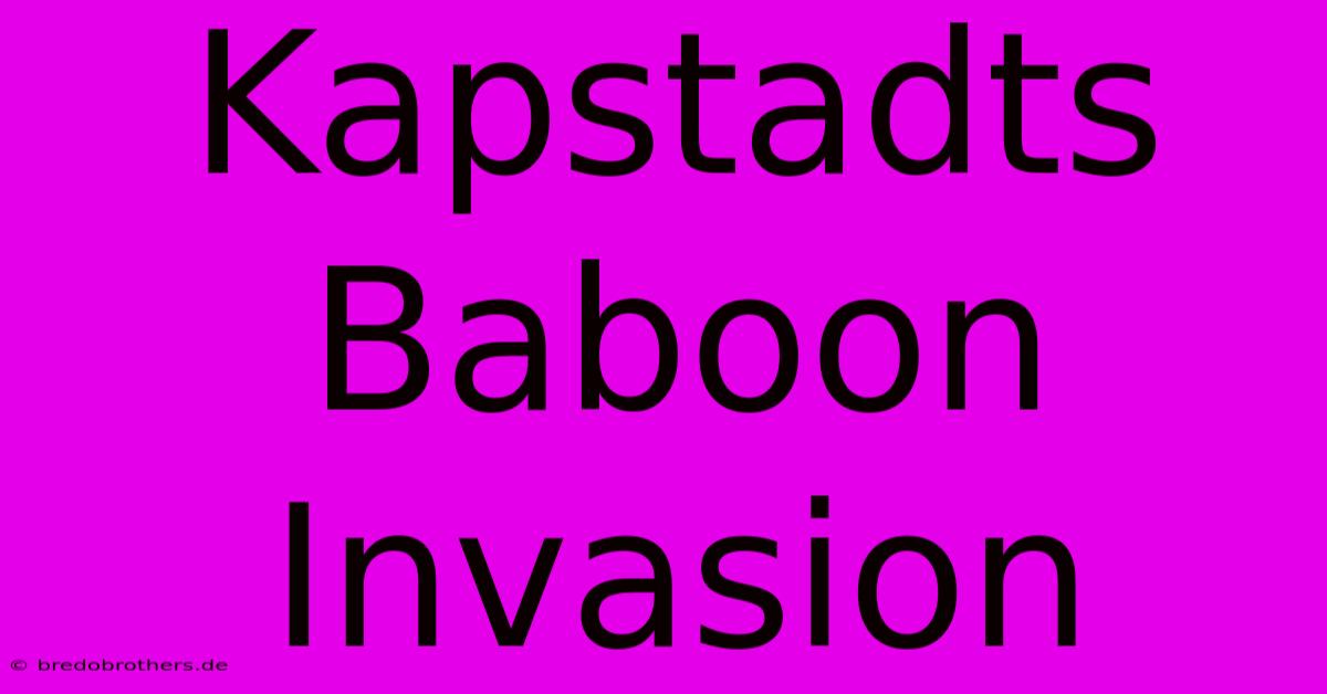 Kapstadts Baboon Invasion