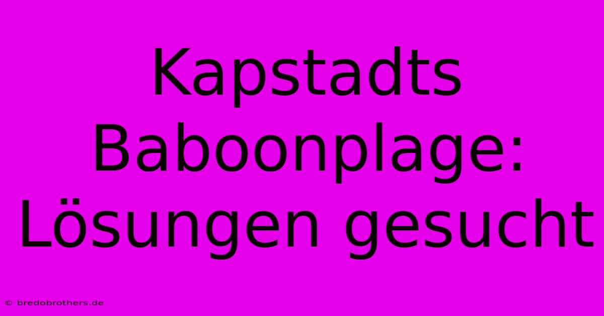 Kapstadts Baboonplage: Lösungen Gesucht