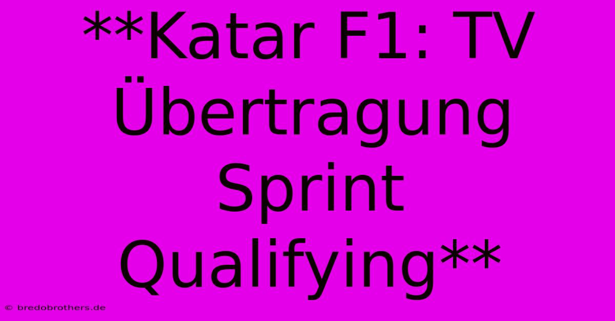 **Katar F1: TV Übertragung Sprint Qualifying**