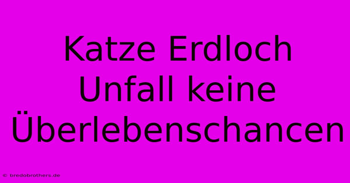 Katze Erdloch Unfall Keine Überlebenschancen