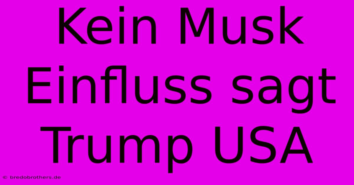 Kein Musk Einfluss Sagt Trump USA