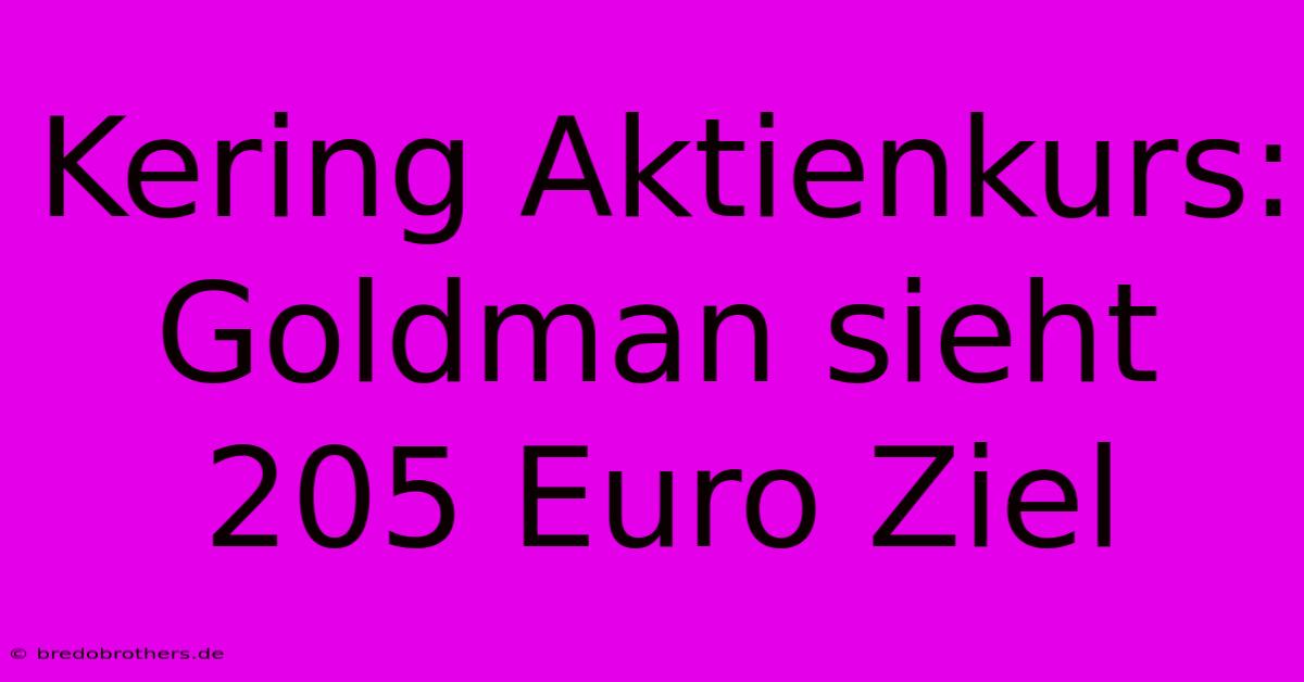 Kering Aktienkurs: Goldman Sieht 205 Euro Ziel