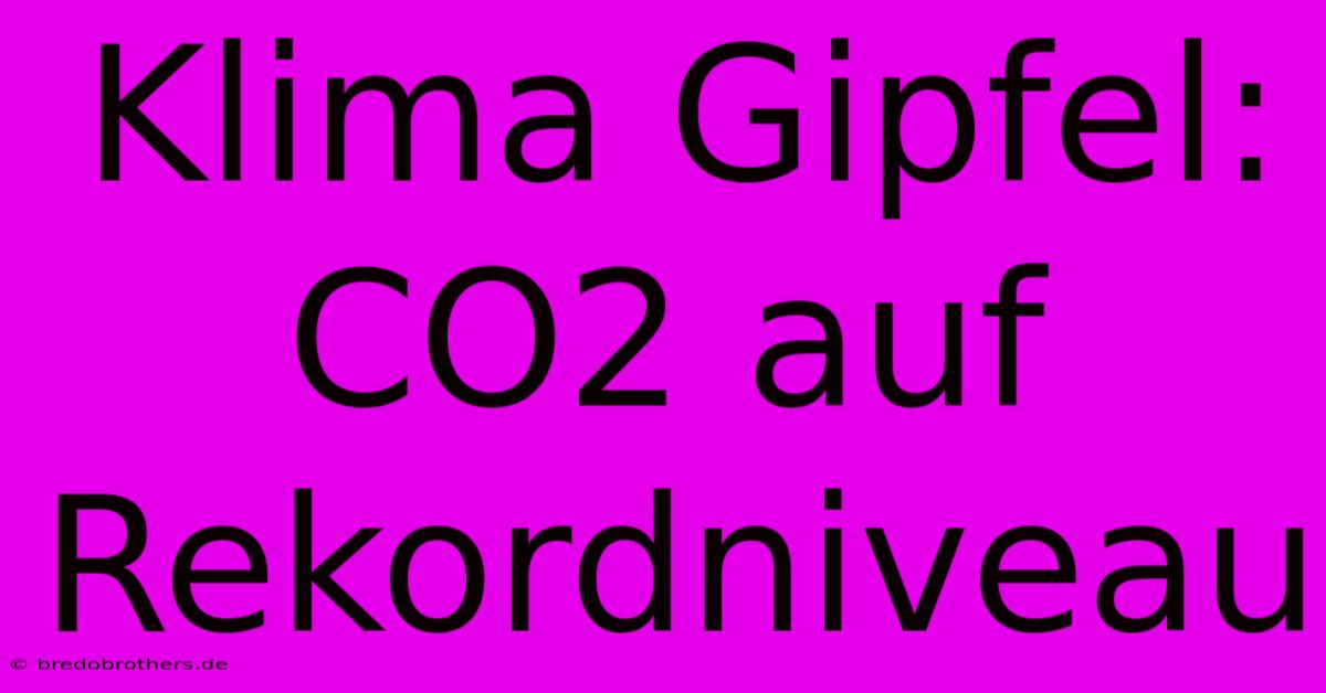 Klima Gipfel: CO2 Auf Rekordniveau