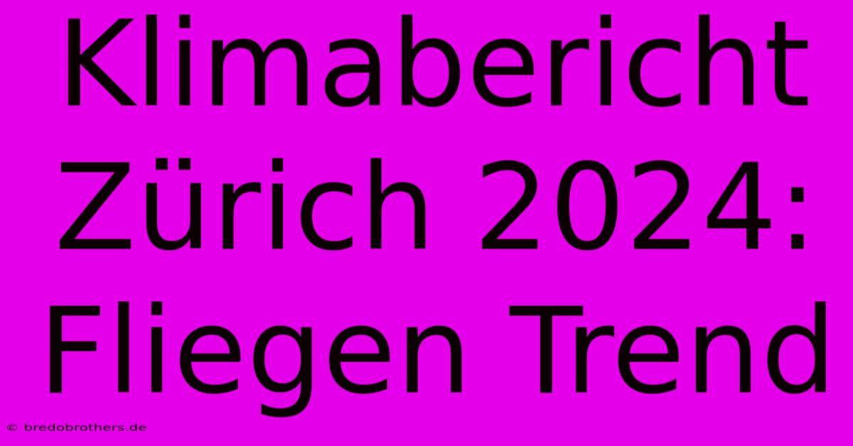 Klimabericht Zürich 2024: Fliegen Trend