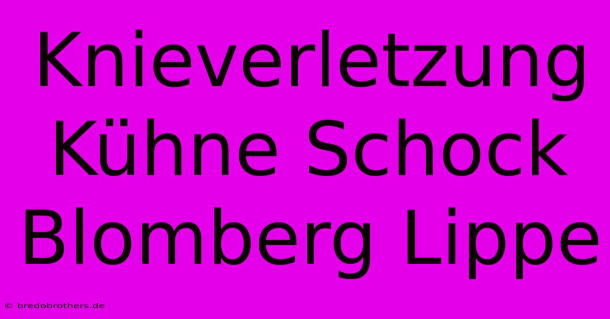 Knieverletzung Kühne Schock Blomberg Lippe