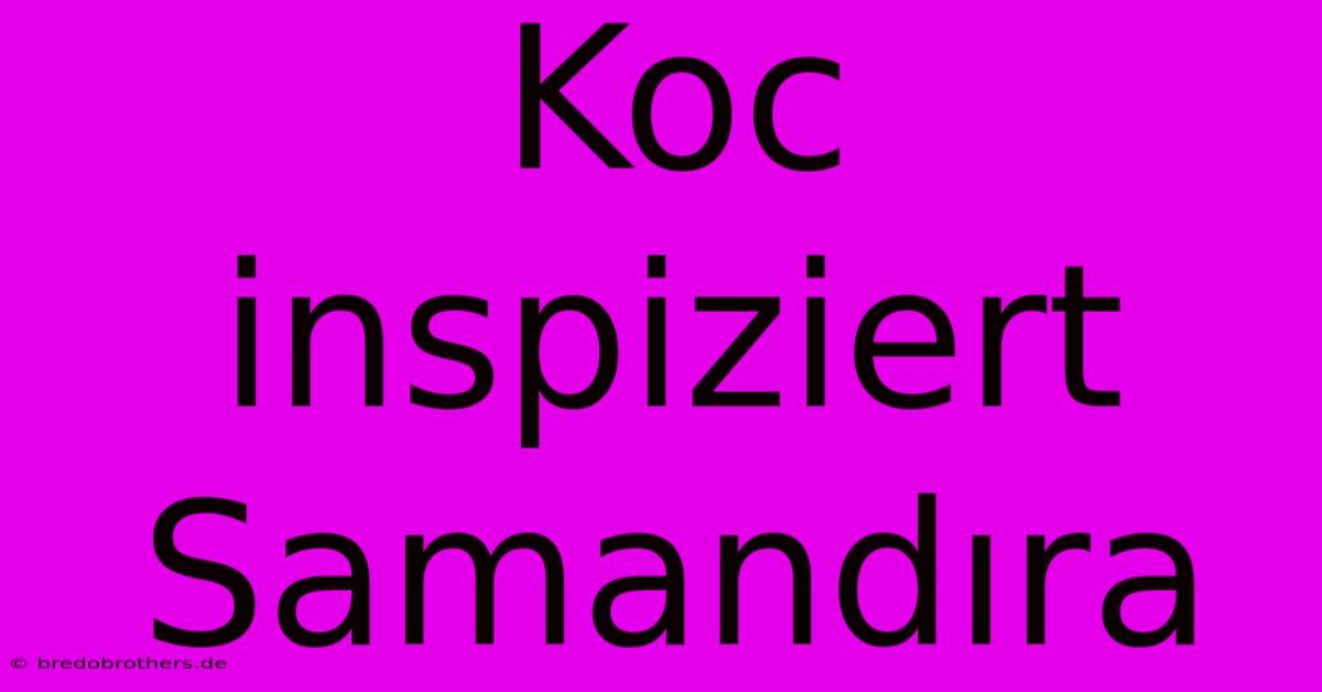 Koc Inspiziert Samandıra