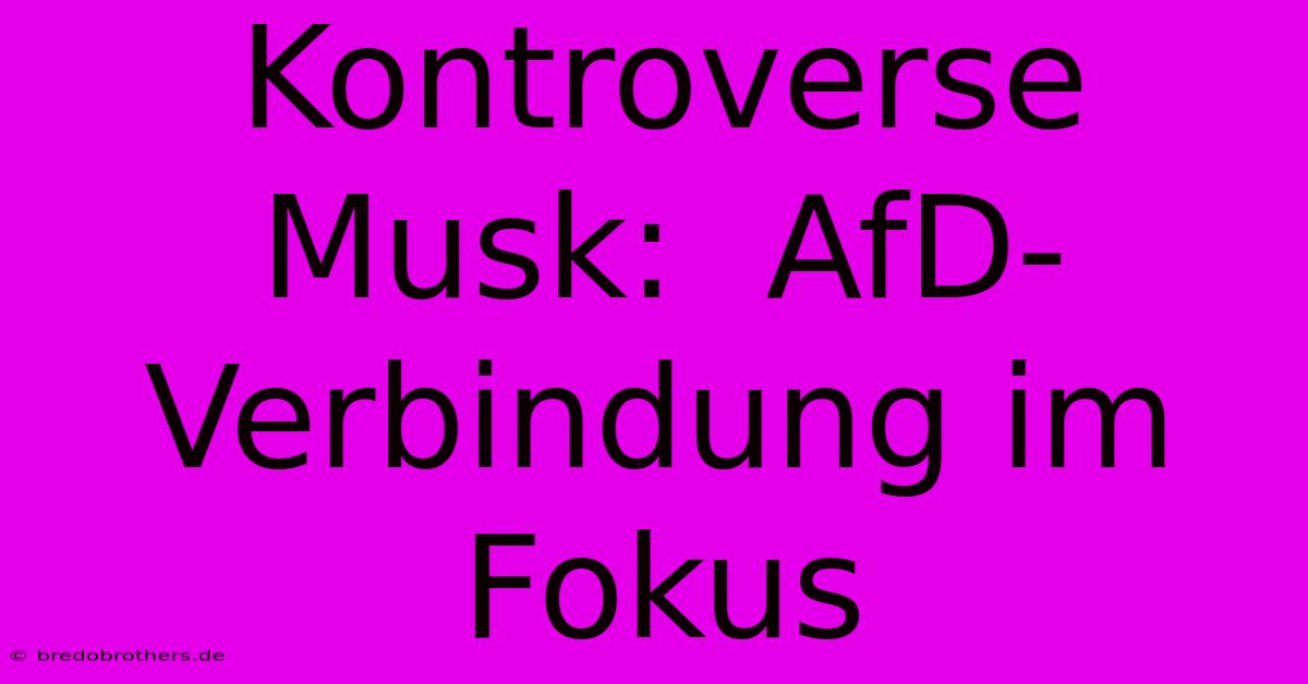 Kontroverse Musk:  AfD-Verbindung Im Fokus